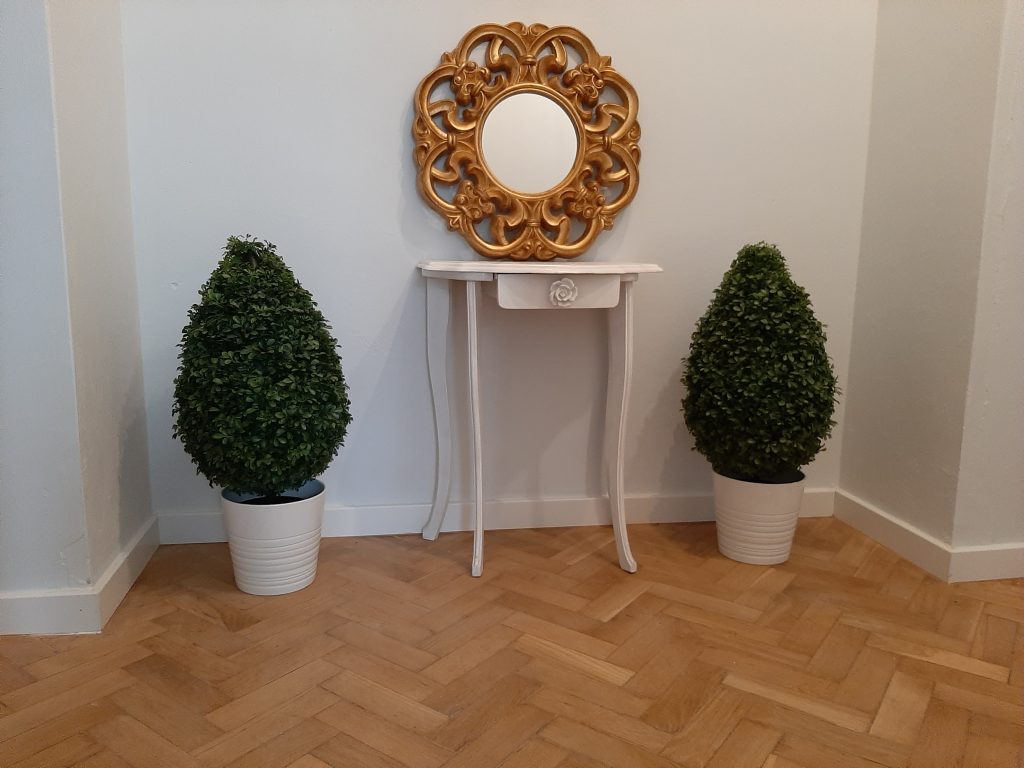 two indoor plants and mirror