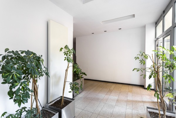 hallway and plants